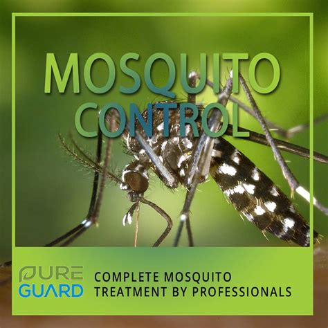 Mosquito Exterminator Company Nashville Tennessee