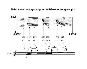 Olivier Messiaen - Birdsong