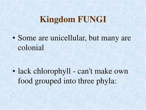 Ppt Kingdom Fungi Powerpoint Presentation Free Download Id1760747