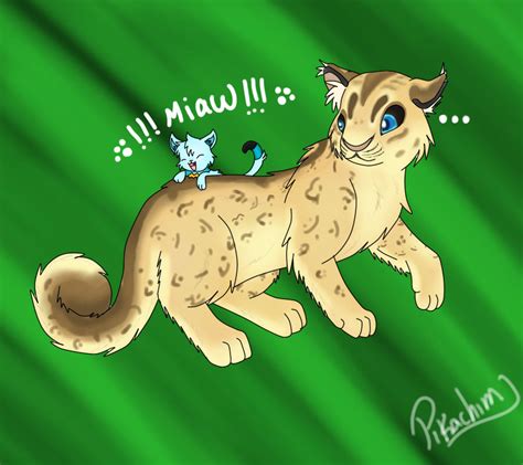 BIG cat Small cat by pikachim22 on DeviantArt