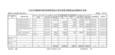 2019 029，关于《非经营性资金占用及其他关联资金往来情况汇总表的专项审核报告》的补充更正公告