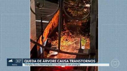 Vídeo Queda de árvore durante chuva causa transtornos no bairro Carlos