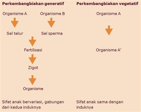 Perbedaan Perkembangbiakan Vegetatif Dan Generatif