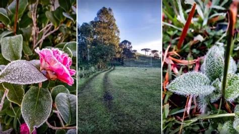 Santa Catarina Amanhece Geada E Temperatura Chega A C