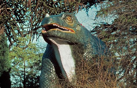 Iguanodon The Teeth That Led To A Dinosaur Discovery Natural History