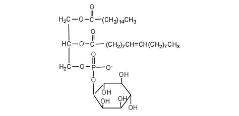 Diagram Of Lipids - exatin.info