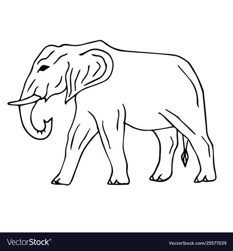 Incredible Collection of 4K Elephant Drawing Images: Over 999 Exquisite Pieces