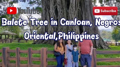 Balete Tree Canlaon Negros Oriental Philippines 🇵🇭 Youtube