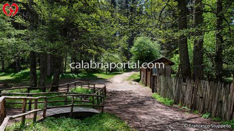 Camigliatello Silano Calabria Cosa Vedere Fare Turismo