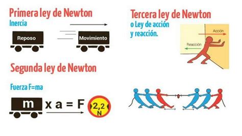 Solution Estatica Las Leyes De Newton Studypool