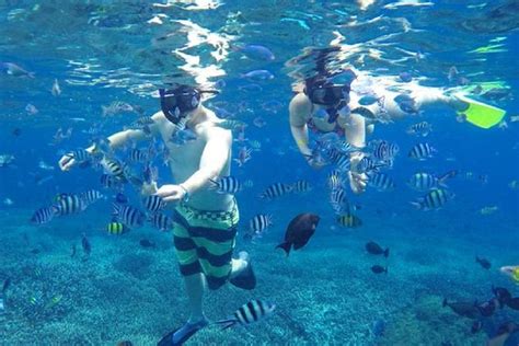 From Lembongan: Snorkeling Day Trip To Nusa Lembongan & Nusa Penida ...