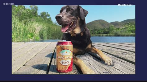 Anheuser Busch Launches Busch Dog Brew