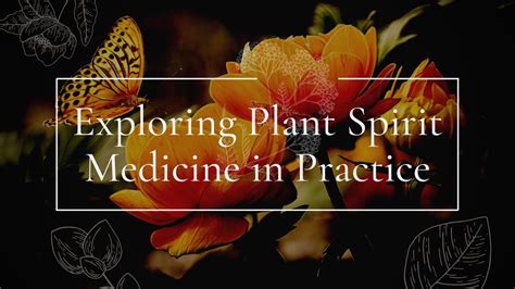 Exploring Plant Spirit Medicine In Practice Youtube