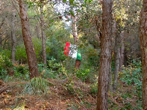 Monte Massico Ed Il Territorio Tra I Fiumi Garigliano E Volturno Monte