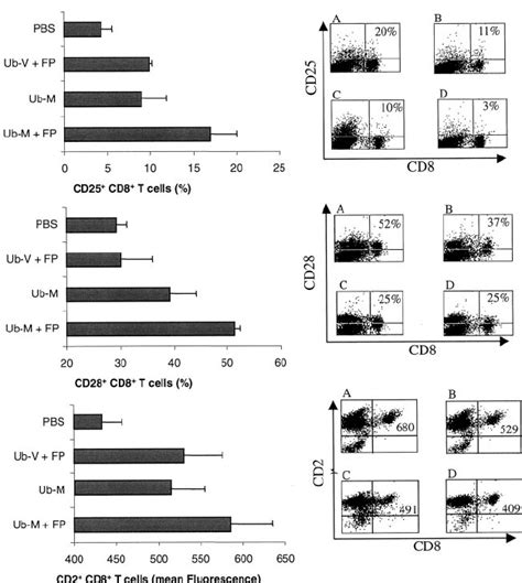 Up-regulation of T-cell activation markers on CD8 ϩ T cells induced by ... 