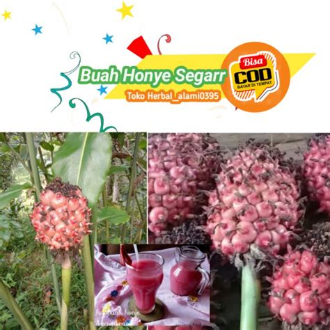 Jual Buah Honje Segar Udah Masak Kg Indonesia Shopee Indonesia