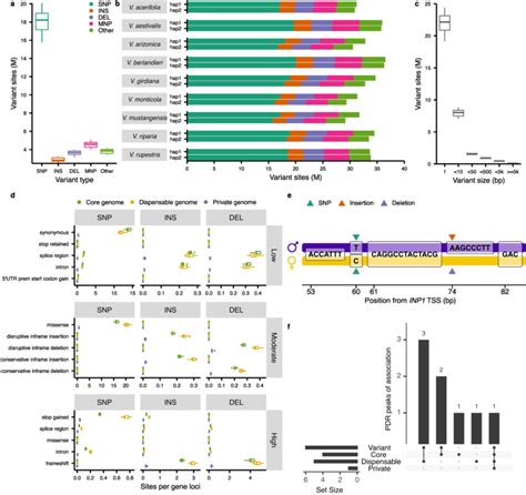 Genetic variants from the graph topology. a, Total number of variants... | Download Scientific ...