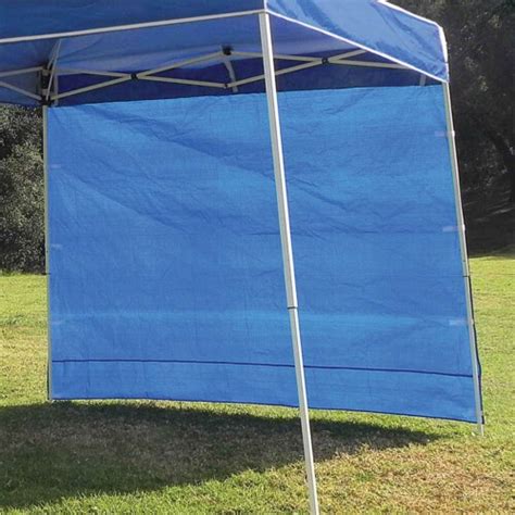 Z-Shade 10x10 Ft Instant Pop Up Shade Canopy Tent with Taffeta ...