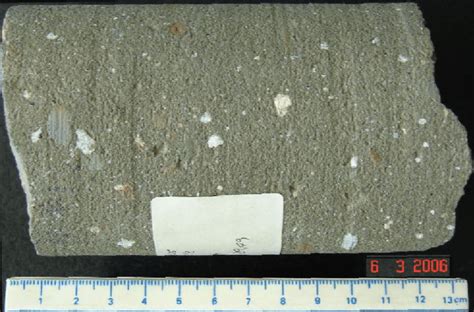 Gray tillite core from a shallow well in the Poti Formation that was ...