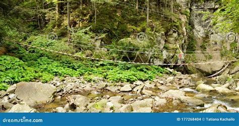 Old Wooden Suspension Bridge Over A Mountain Stream Stock Photo Image