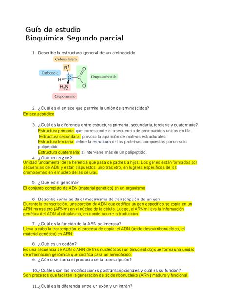 Gu A De Estudio Bioquimica Ii Uvm Gu A De Estudio Bioqu Mica Segundo