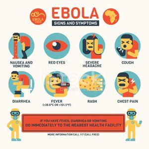 Ebola Symptoms And Signs Infographics Stock Vector Royalty Free