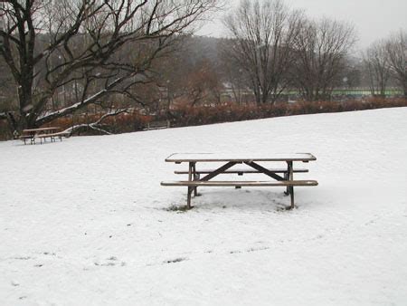 The Callicoon Creek Park