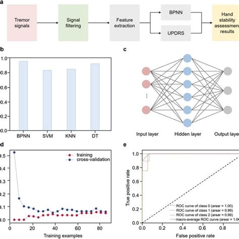Hand stability assessment. a) The process of the stability assessment ...