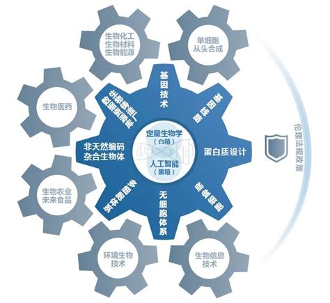 《合成生物学路线图2030——驱动下一代生物制造的引擎》正式发布 中国生物工程学会