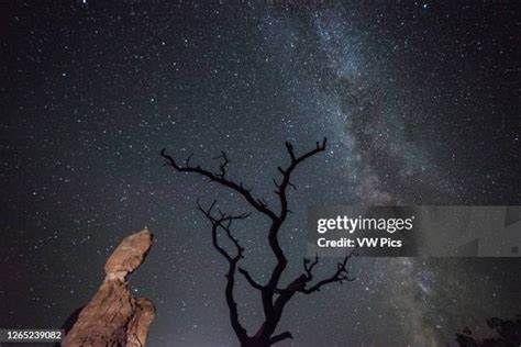 413 Arches National Park Night Stock Photos, High-Res Pictures, and ...