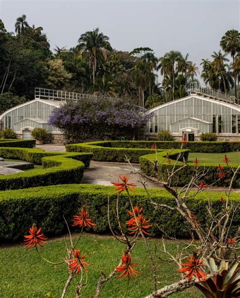 Imagens De Jardim Botânico De São Paulo - Jardim Botânico de São Paulo | Edson Salomão