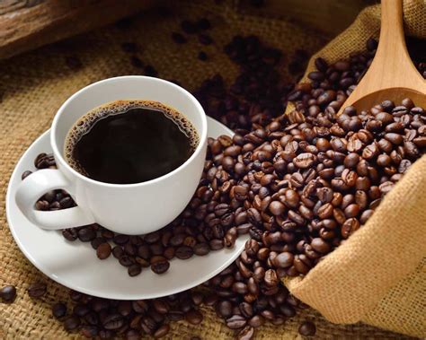 9 curiosidades sobre o café que você precisa conhecer Blog Duas Xícaras