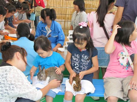 動物同伴okイベント獣医師の仕事について学ぶ！動物とふれあう！「2012動物感謝デー In Japan “world Veterinary