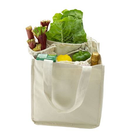 Organic Cotton Deluxe Reusable Canvas Grocery Bags — Simple Ecology