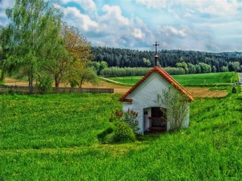 Free Images Landscape Tree Nature Forest Grass Field Farm Lawn