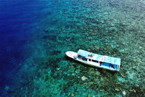 Terumbu Karang Di Kepulauan Seribu Terancam Punah