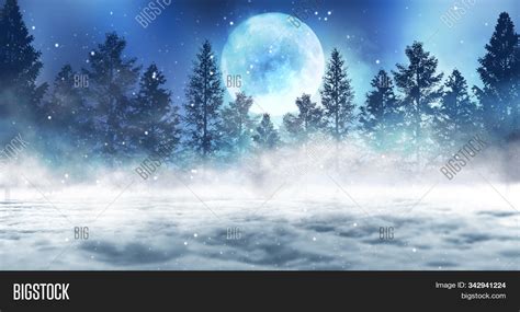 Dark Snowy Forest Background