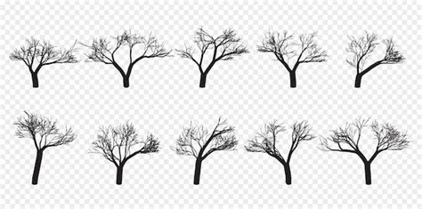 Premium Vector Naked Trees Silhouettes Set Hand Drawn Isolated Autumn Spring Fall Vector