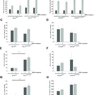 Alcam Tissue Expression In A Tissue Microarray Of Prostate And Prostate