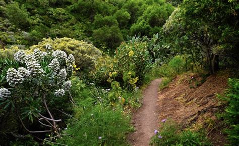 Teror Patea Por Gran Canaria