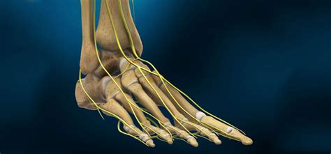 Peripheral Nerve Surgery