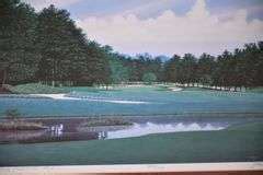 Signed Limited Edition Framed Print No Pinehurst No By Griff