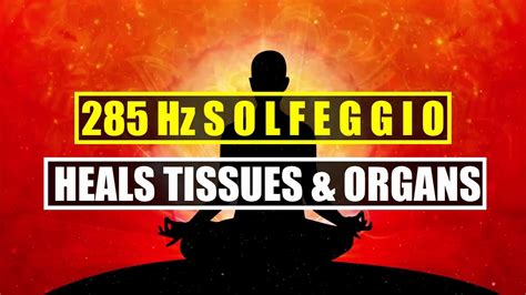 285 Hz Rapidly Heals Regenerates Tissues Healing Music Organs Are