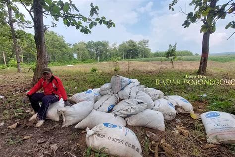 Petani Hutan Di Blora Minim Informasi Perhutanan Sosial Radar Bojonegoro