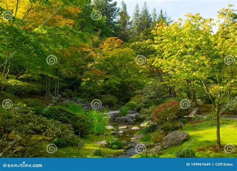 Japanese Garden in Seattle`s Washington Park Arboretum Stock Image ...