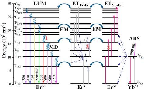 Diagram Of Yb³⁺ And Er³⁺ Energy Levels With The Main Possible Pathways