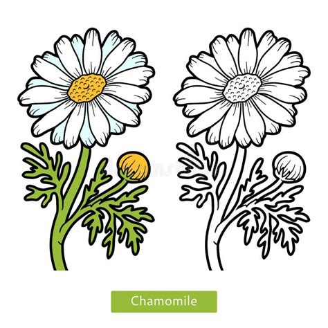 3d Flower Chamomile Spring Background Abstract Stock Vector