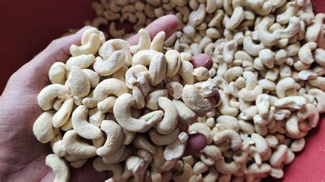 Baked Cashew Nut White Whole Packaging Size Kg Grade Mix At Rs