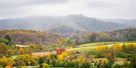 The Best Restaurants Wineries And Breweries Near Luray Va Yogi Bear