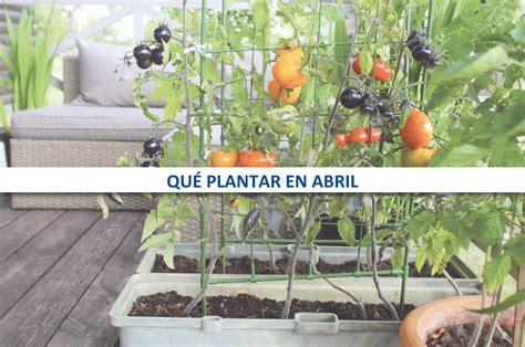 Qu Plantar En Abril Llaberia Hydraulic Solutions